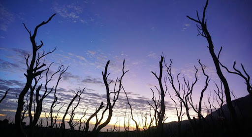 Gunung Papandayan